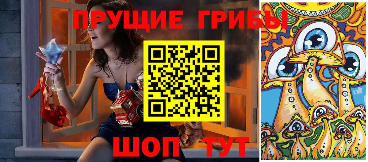 Псилоцибиновые грибы прущие грибы Каменск-Шахтинский
