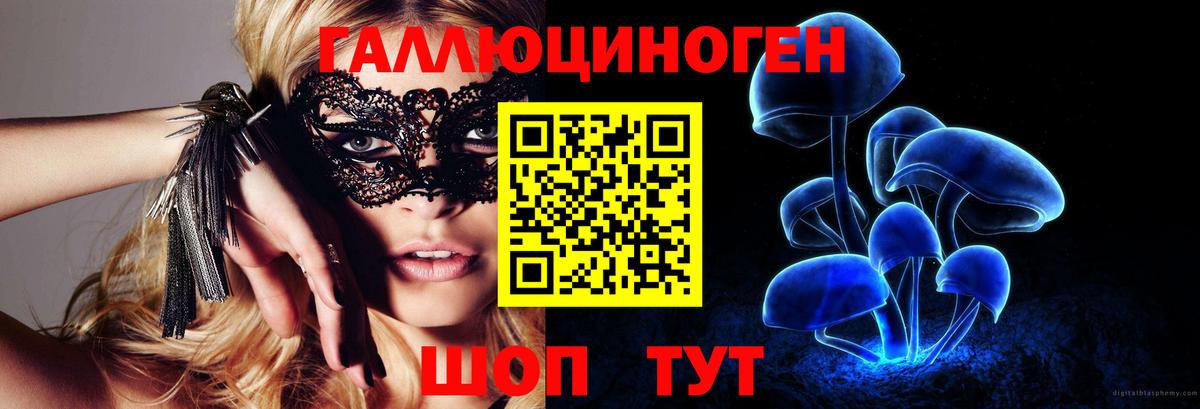 Псилоцибиновые грибы Psilocybe  Псилоцибиновые грибы Psilocybe  Каменск-Шахтинский  Вход с VPN 