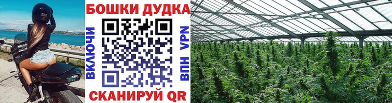 МАРИХУАНА план  купить наркоту  Каменск-Шахтинский 